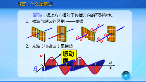 光的偏振态 线偏振态的获得与检验