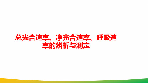 高中生物总光合速率、净光合速率、呼吸速率的辨析与测定优质课PPT课件