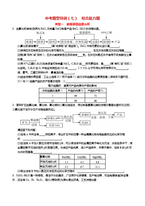 人教版初中化学中考题型特训(七) 综合能力题（含答案）