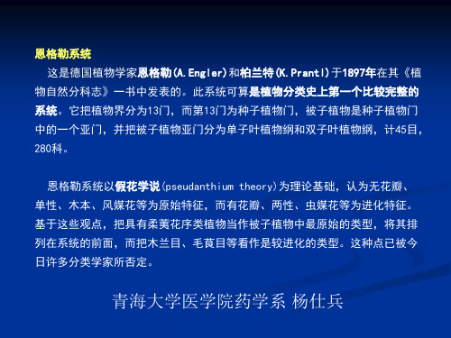 杜鹃花科-报春花科-龙胆科-木犀科-萝夹竹桃科-藦科