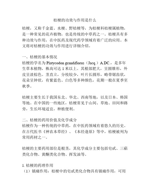 桔梗的功效与作用是什么