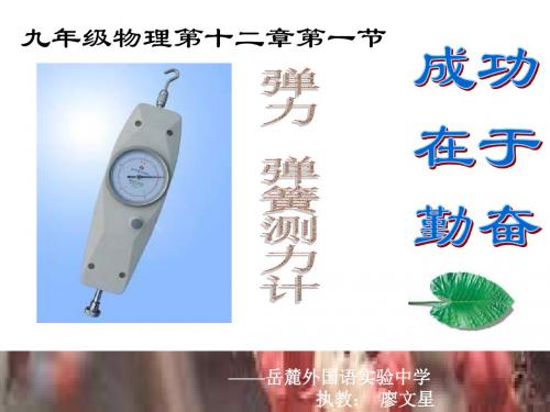 九年级物理弹簧测力计(2019新)