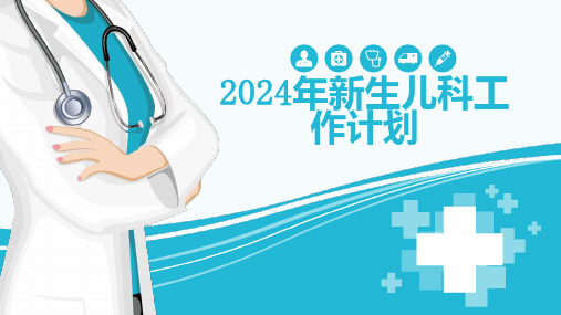 2024年新生儿科工作计划