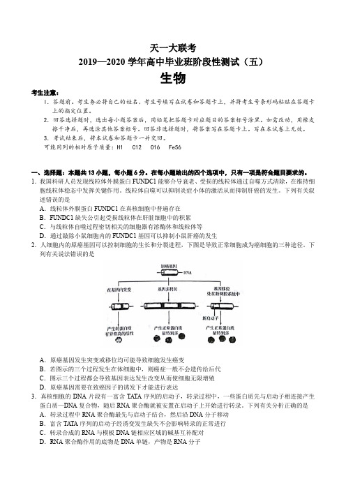 天一大联考2019-2020学年高中毕业班阶段性测试(五)生物试卷带答案 