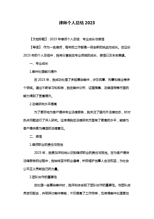 律师个人总结2023