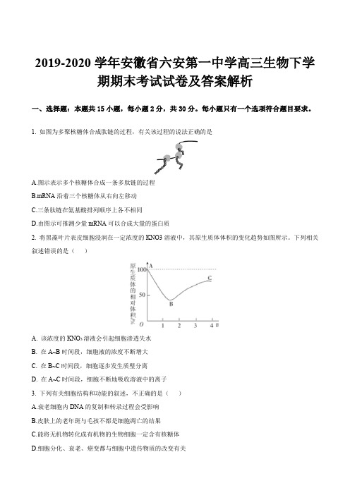 2019-2020学年安徽省六安第一中学高三生物下学期期末考试试卷及答案解析