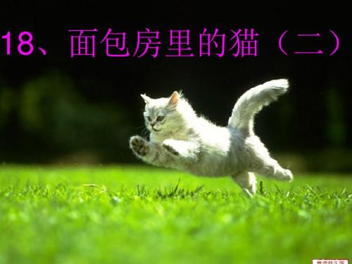 18、面包房里的猫(二)