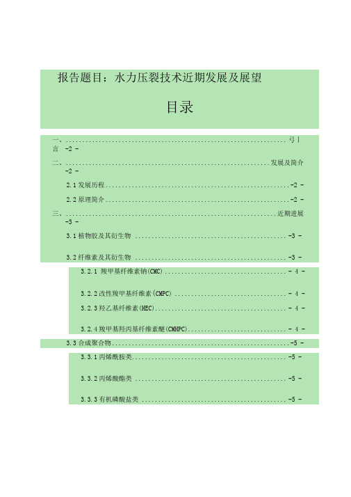 水力压裂技术发展及展望