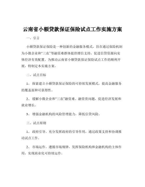 云南省小额贷款保证保险试点工作实施方案