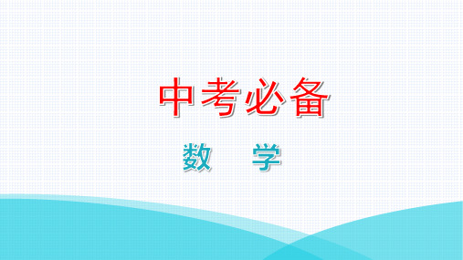 人教版中考数学总复习微专题一 常考的四大全等模型 模型一  平移模型