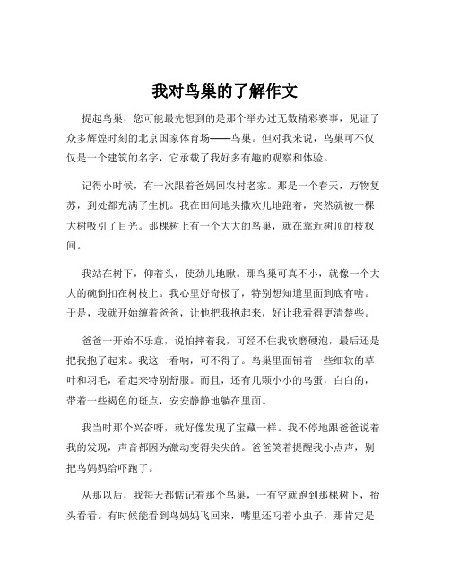 我对鸟巢的了解作文