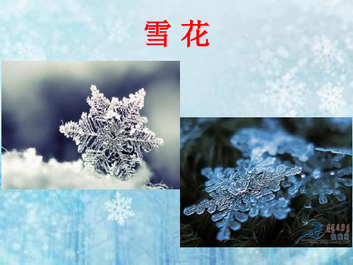 【最新】课件-雪花的快乐PPT