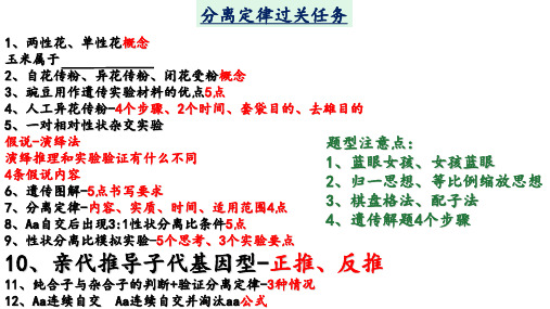 孟德尔的豌豆杂交实验(一)课件-高一生物人教版必修2