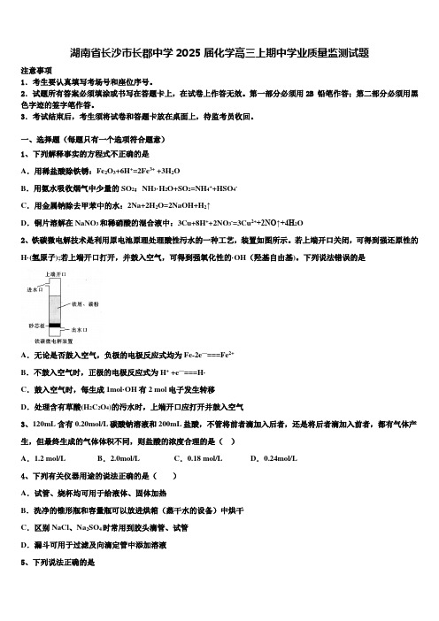 湖南省长沙市长郡中学2025届化学高三上期中学业质量监测试题含解析