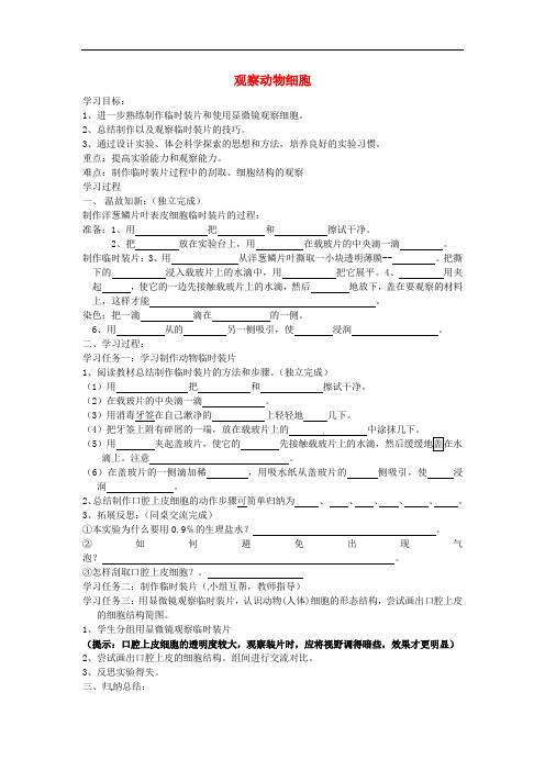 山东省威海市文登区实验鲁中学六年级生物上册 2.1.3 观察动物细胞导学案(无答案) 鲁科版五四制