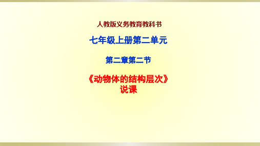 人教版七年级上册生物说课课件：动物体的结构层次(25张PPT)