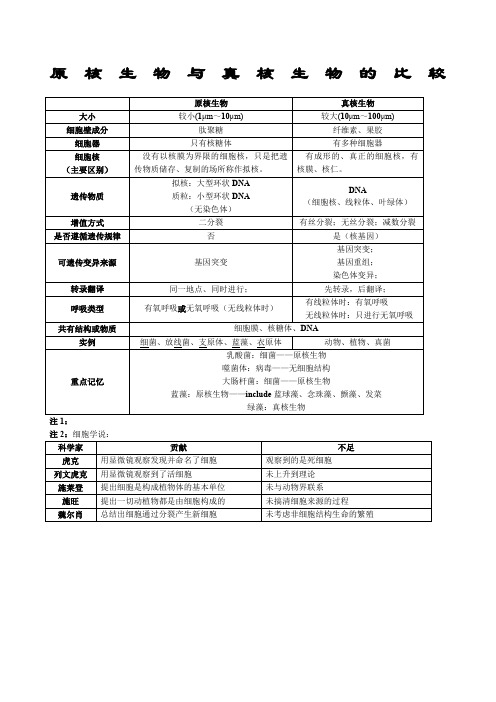 原核生物与真核生物的区别完成