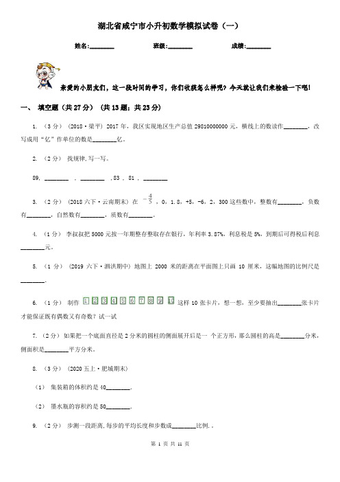 湖北省咸宁市小升初数学模拟试卷(一)