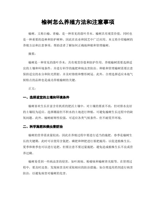 榆树怎么养殖方法和注意事项