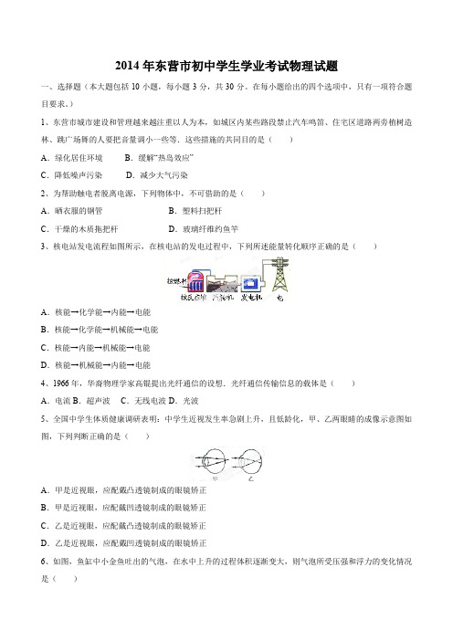 B216物理中考-2014年东营市初中学生学业考试物理试题