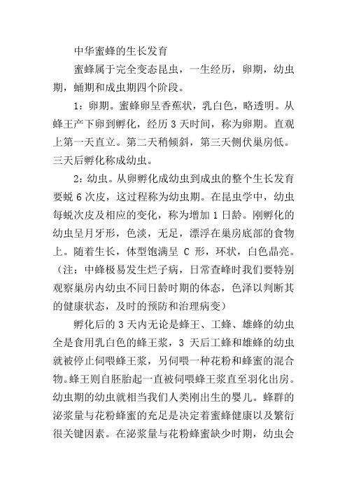 中华蜜蜂的生长发育