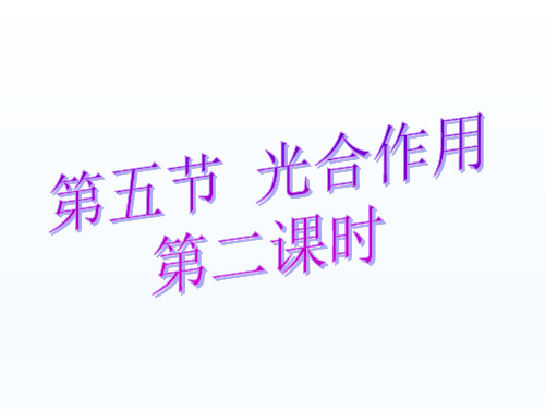 浙江省桐庐分水高级中学高中生物浙科版必修一课件：第三章第五节光合作用2(共13张PPT)