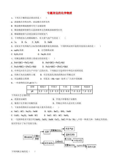 中考化学二轮专题复习专题身边的化学物质