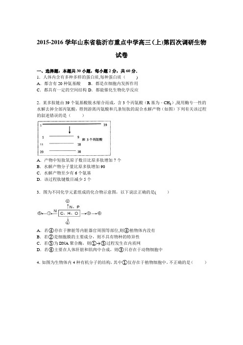 山东省临沂市重点中学2016届高三上学期第四次调研生物试卷 含解析