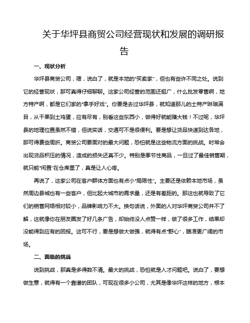 关于华坪县商贸公司经营现状和发展的调研报告