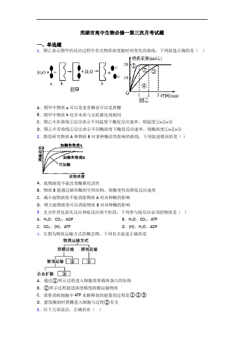 芜湖市高中生物必修一第三次月考试题