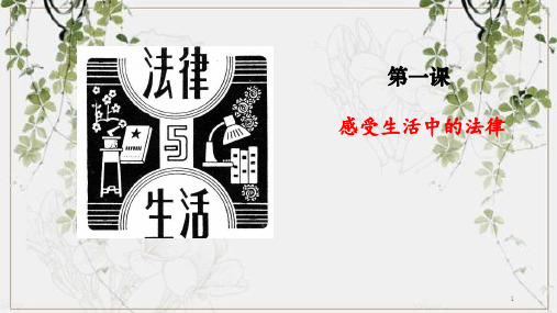 新人教部编版六年级上册道德与法制第一单元我们的守护者课件设计(2课时)