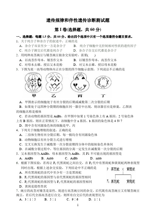 减数分裂,两大规律和伴性遗传诊断测试题