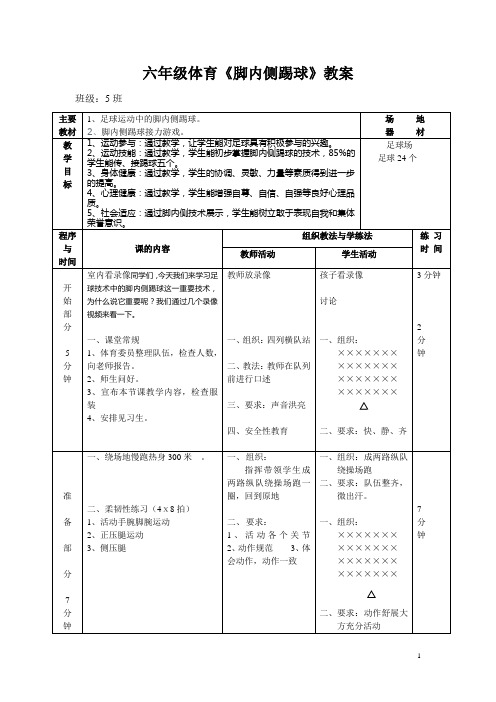 小学体育《足球脚内侧踢球》教案