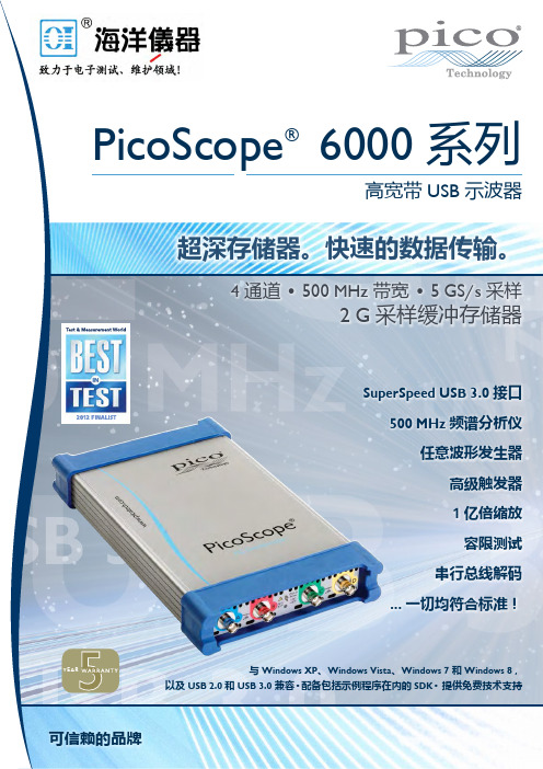 PicoScope 6000 系列示波器说明书