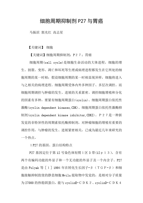 细胞周期抑制剂P27与胃癌