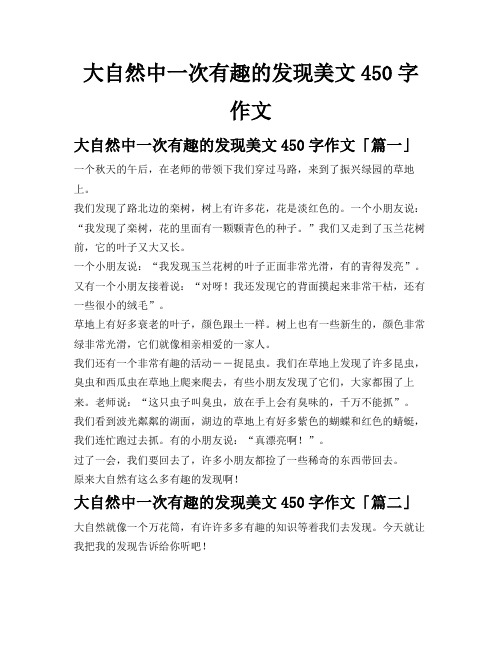 大自然中一次有趣的发现 美文450字作文