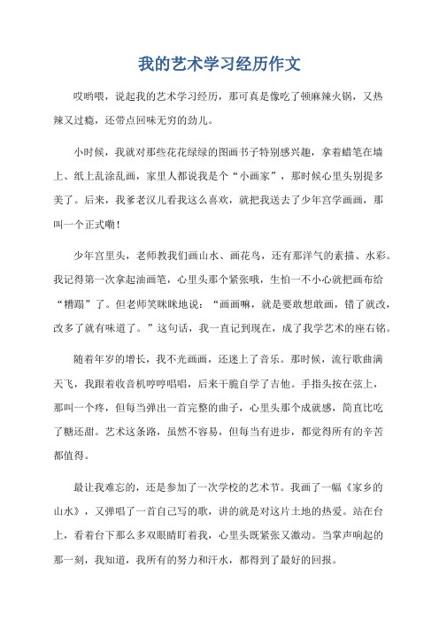 我的艺术学习经历作文