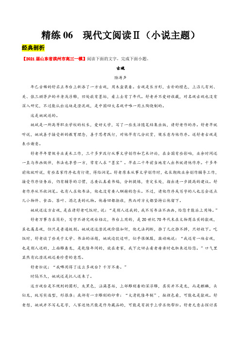 精练06  现代文阅读Ⅱ(小说主题)(解析版)-备战2021年高考语文大题精做(新高考专用)