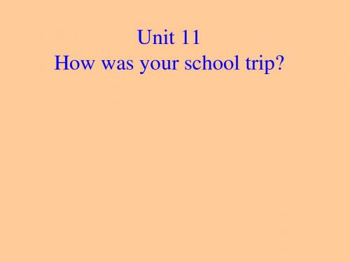 初级中学七年级英语下册Unit 11  How was your school trip课件(共37张PPT)