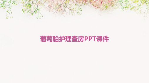 葡萄胎护理查房PPT课件