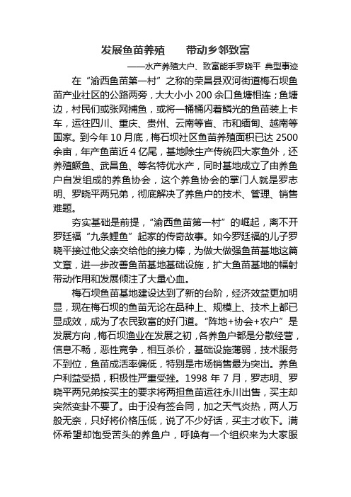 罗晓平典型材料