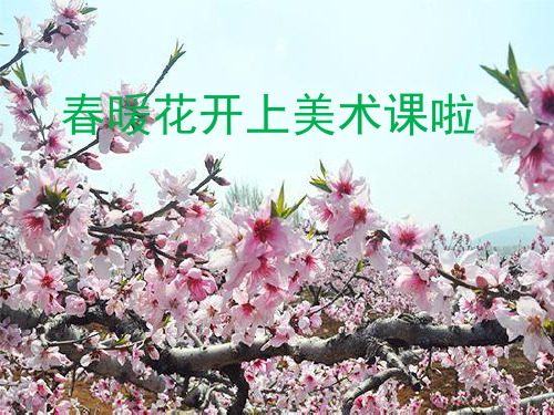 皮影艺术