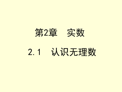 北八年级上册2.1  认识无理数