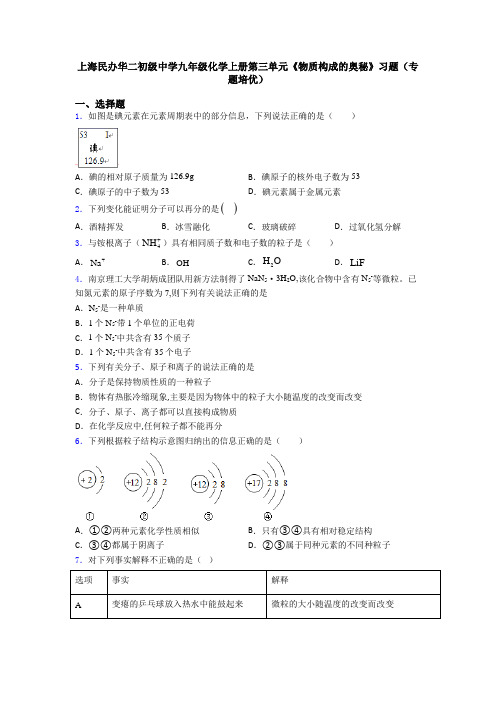 上海民办华二初级中学九年级化学上册第三单元《物质构成的奥秘》习题(专题培优)