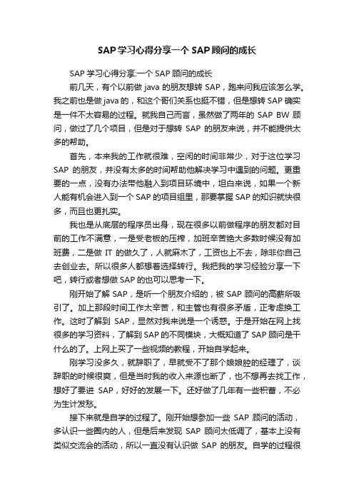 SAP学习心得分享一个SAP顾问的成长