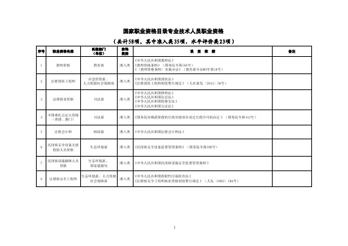 国家职业资格目录专业技术人员职业资格