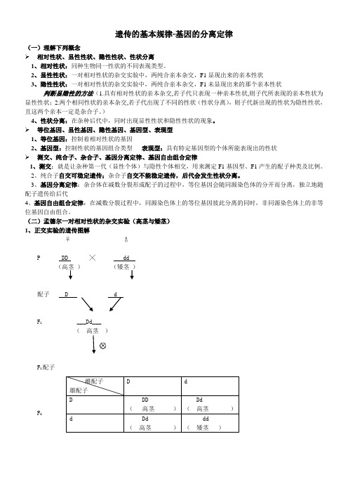 高考复习之遗传的基本规律