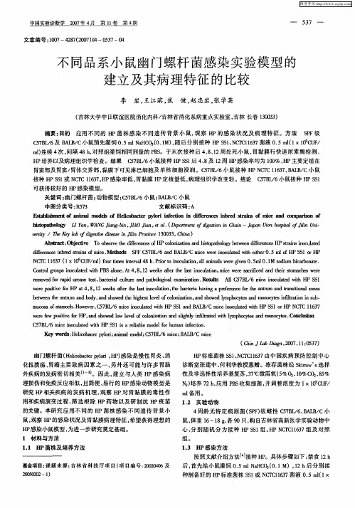 不同品系小鼠幽门螺杆菌感染实验模型的建立及其病理特征的比较