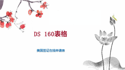 DS 160表格