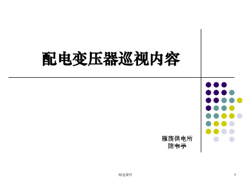 配电变压器巡视内容、运行维护和故障处理ppt课件